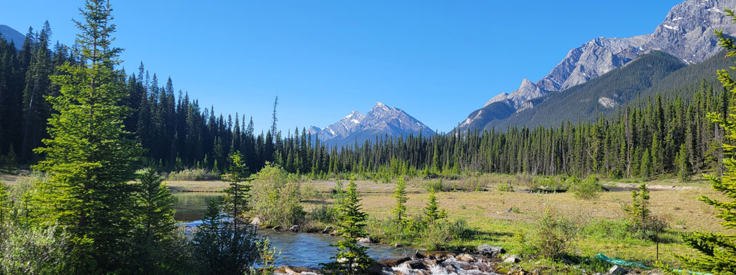 Alberta, Great Divide Cover