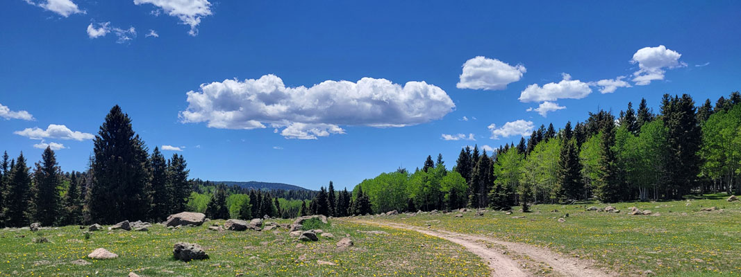 New Mexico, Great Divide Cover